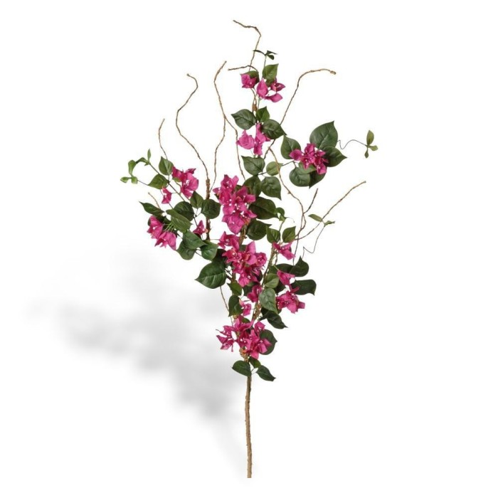 RAMO BOUGANVILLEA CM160 CON RAMETTI BEAUTY